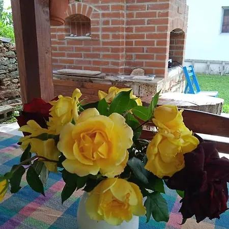 Draganov House Pensjonat 3*